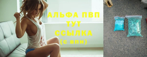 прущие грибы Магадан