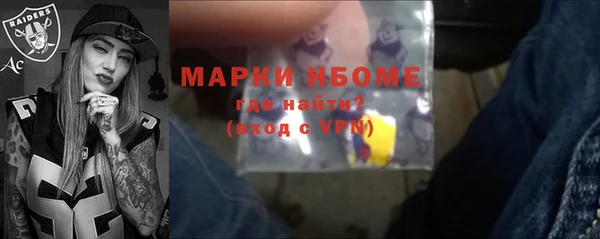 прущие грибы Магадан