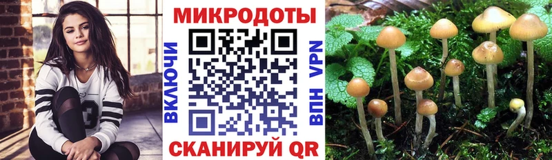 маркетплейс формула Гвардейск Псилоцибиновые грибы ЛСД