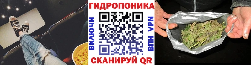 где найти наркотики  Гвардейск  Бошки марихуана план 